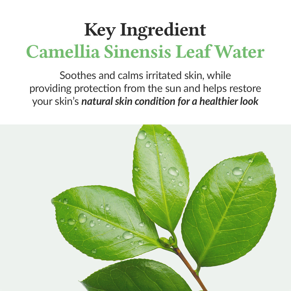 Dr. Althea Green Tea Fresh Sunscreen SPF50+ PA++++