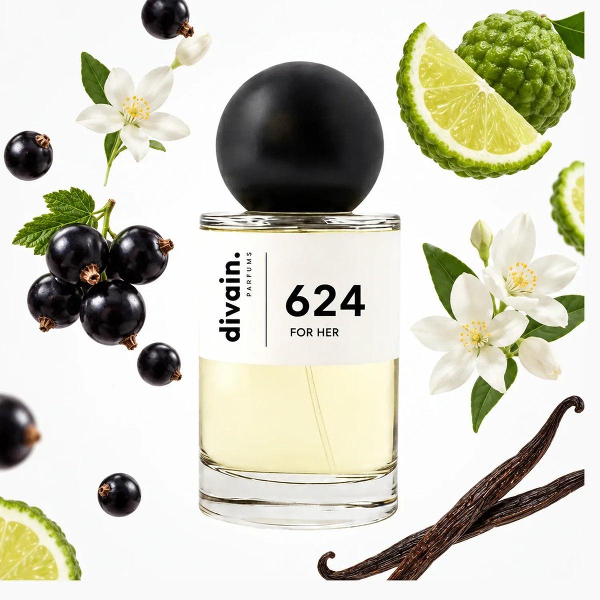 divain. 624