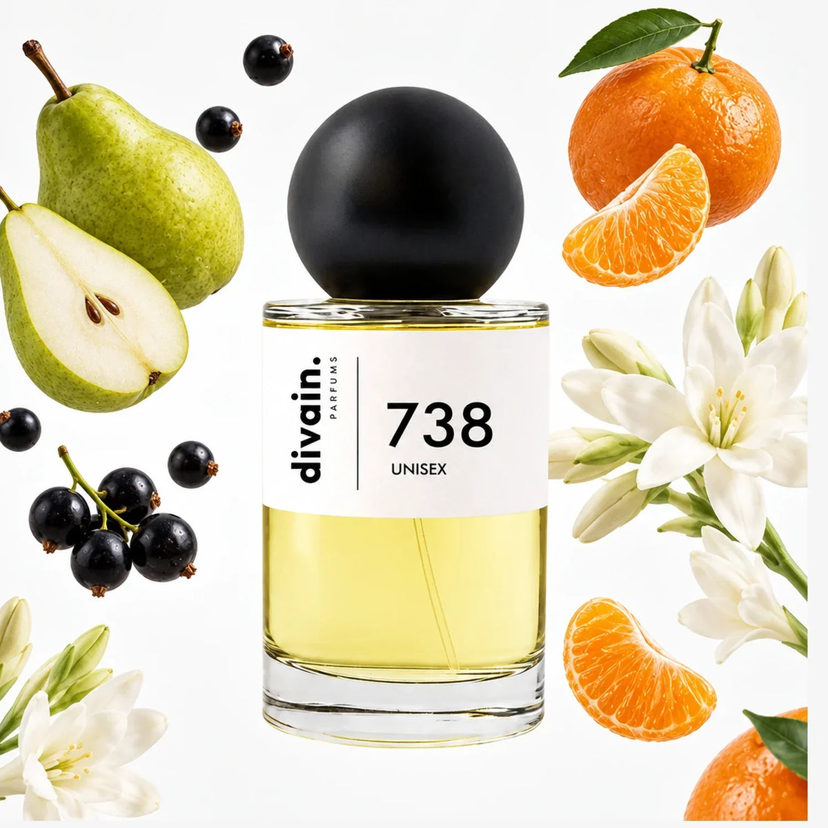 divain. 738